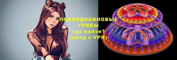 стаф Баксан
