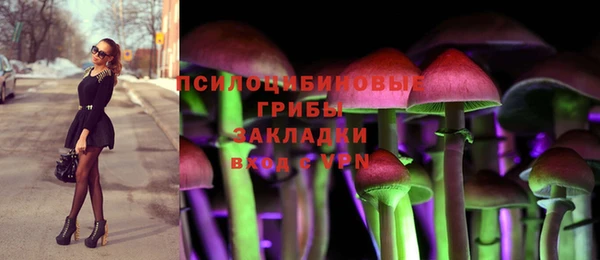 apvp Белокуриха
