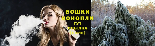 apvp Белокуриха