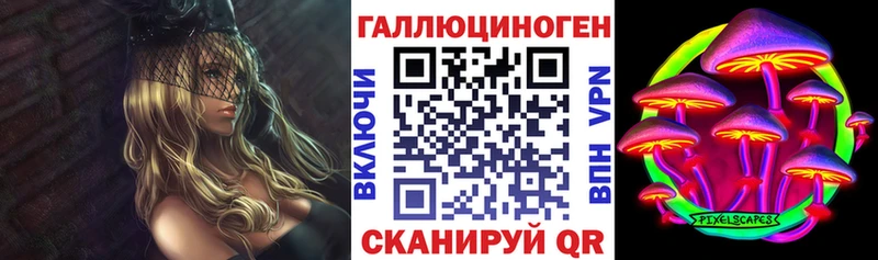 дарнет шоп  Улан-Удэ  Псилоцибиновые грибы Magic Shrooms 
